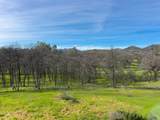13672 Twin Lakes Lane - Photo 18