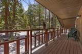 7186 Shasta Forest Drive - Photo 28