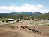 1827 Ball Mountain Little Shasta Road - Photo 19