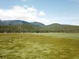 1827 Ball Mountain Little Shasta Road - Photo 25