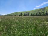 25653 Glenburn Road - Photo 45