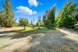 61 Chief George - Photo 18