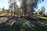 17125 Zanita Trail - Photo 62