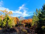 144 acres Gilman Road - Photo 19