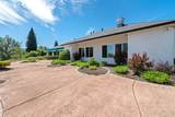 3025 Misty Glen Drive - Photo 59