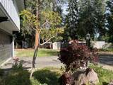 503 Pony Trail - Photo 5