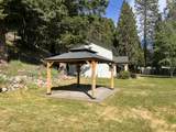 503 Pony Trail - Photo 7