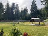 503 Pony Trail - Photo 8