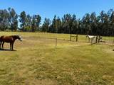10982 Rawson Road - Photo 26