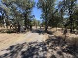 16185 Caribou Road - Photo 44