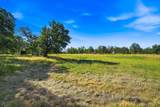 21375 Little Meadow Lane - Photo 56