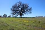 Lot 40 Del Mar Drive - Photo 8