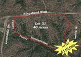 Lot 31 Kingsland Way - Photo 1