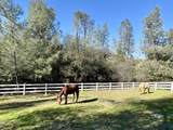 8703 Muletown Road - Photo 17