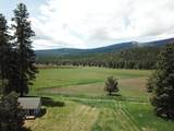 1827 Ball Mountain Little Shasta Road - Photo 43