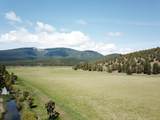 1827 Ball Mountain Little Shasta Road - Photo 9
