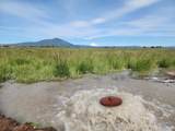 25653 Glenburn Road - Photo 9