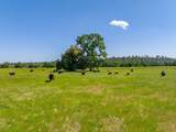 3141 Meadow Oak Drive - Photo 34