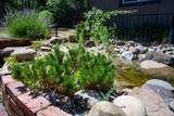 290 Mountain View Drive - Photo 45