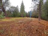 144 acres Gilman Road - Photo 10