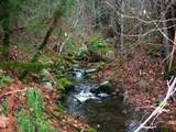 144 acres Gilman Road - Photo 13