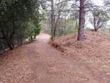 144 acres Gilman Road - Photo 9