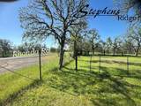 120 acres Golden Oak/Lawndale - Photo 34