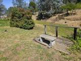 17705 Coyote Lane - Photo 48