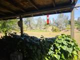 17705 Coyote Lane - Photo 52