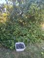 19269 Montgomery Valley Drive - Photo 39