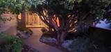 1683 St Andrews Avenue - Photo 46