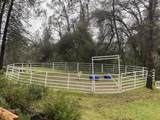 8703 Muletown Road - Photo 20