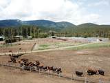 1827 Ball Mountain Little Shasta Road - Photo 57