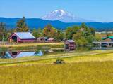 25653 Glenburn Road - Photo 88