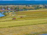 25653 Glenburn Road - Photo 92
