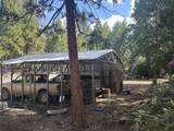 8308 Lost Mill Road - Photo 49