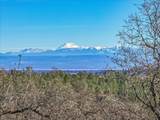 16300 Canto De Las Lupine Drive - Photo 4