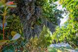 14945 Caylor Lane - Photo 44