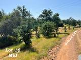 120 acres Golden Oak/Lawndale - Photo 16