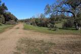 120 acres Golden Oak/Lawndale - Photo 19