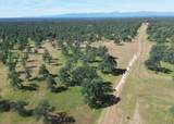 322 acres Kingsland Way - Photo 20