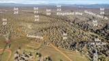 LOT 27 Golden Oak Drive - Photo 6