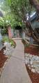 1683 St Andrews Avenue - Photo 11