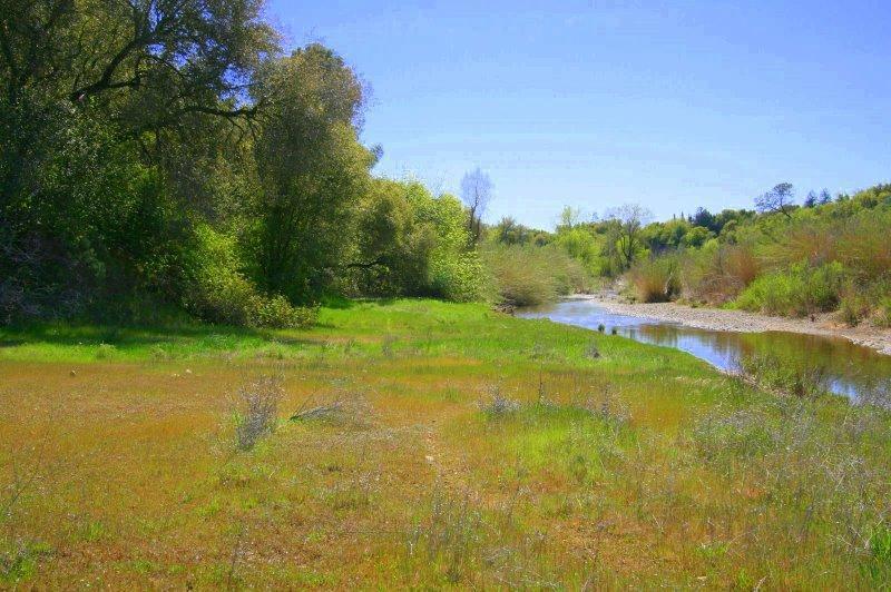 Oak Bottom Rd - Photo 1