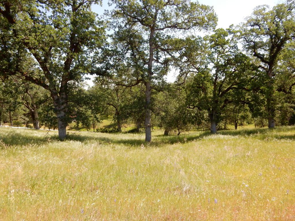 Valley Creek Lane - Photo 1