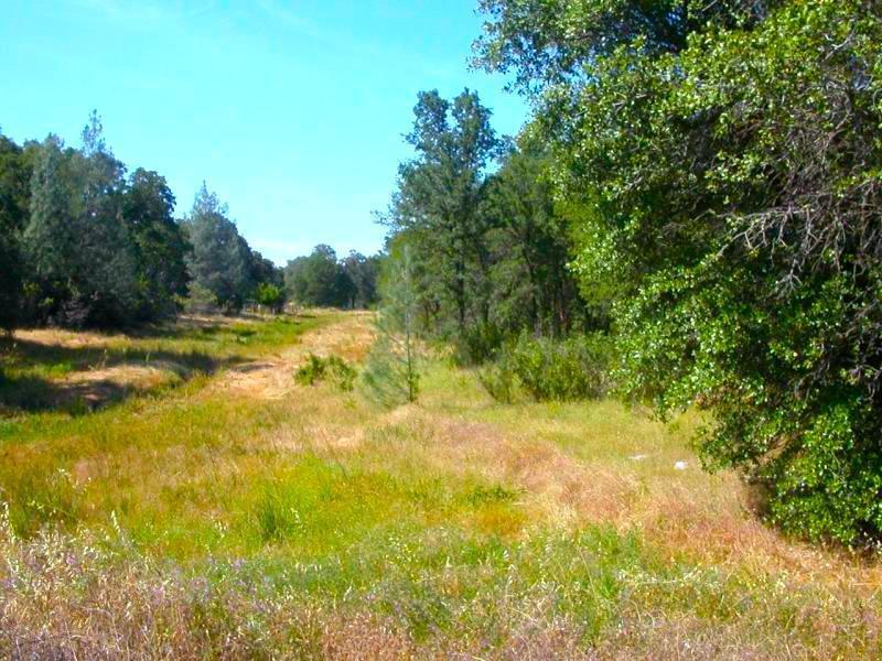 3050 3110 Rancho - Photo 1