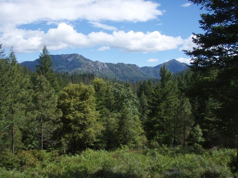 6.37 acres Gilman Road - Photo 1