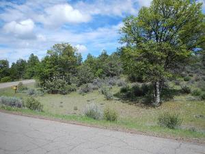 Lot 43 Shoshoni Loop - Photo 1