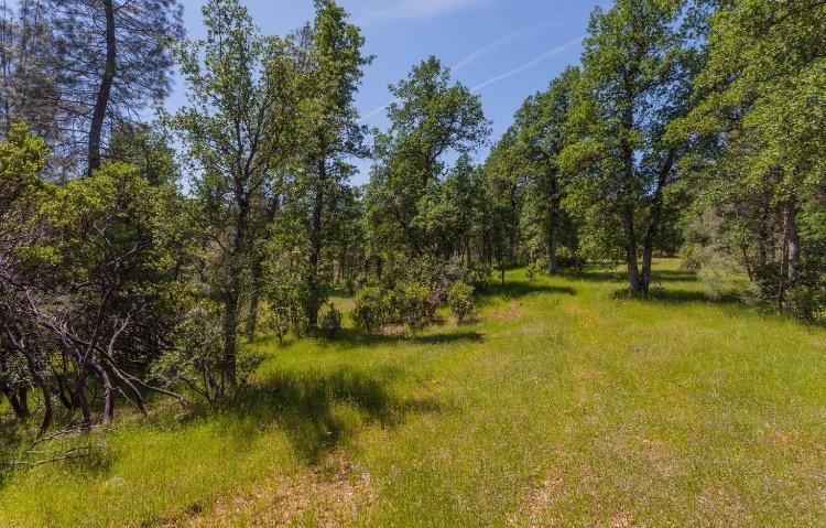 Lot #4 Soleado Ln - Photo 1