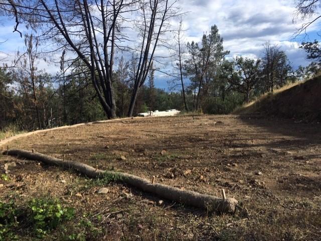 9258 Richison Ranch Rd - Photo 1